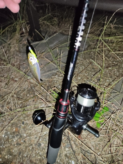 アジングデビュー