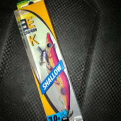 久しぶりにケンサキイカ  GET(^｡^)