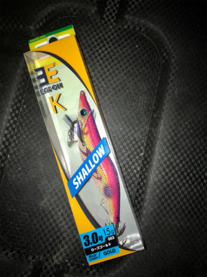 久しぶりにケンサキイカ  GET(^｡^)