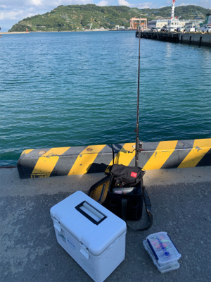 続:朝タチゲーム