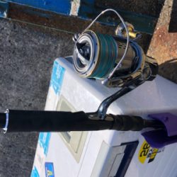 大混雑の武庫川一文字へ