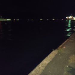 今夜もアジング！
