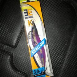 何とかアオリ1杯σ(^_^;)