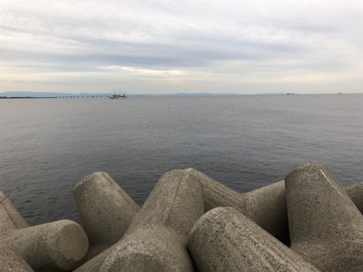 ヒットパターン