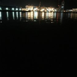 大阪湾奥アジング