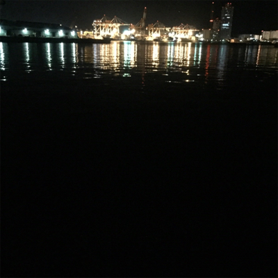 大阪湾奥アジング