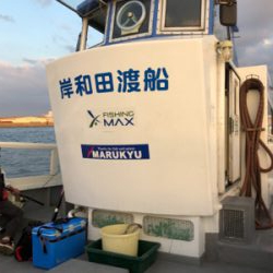 ノマセは不発でしたが、サビキ 釣りで五目達成