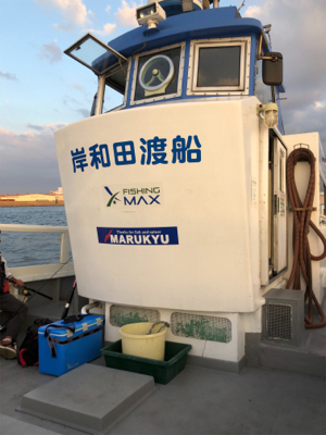 ノマセは不発でしたが、サビキ 釣りで五目達成