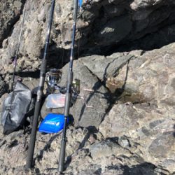 ホームポイントに魔物が