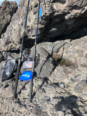 ホームポイントに魔物が