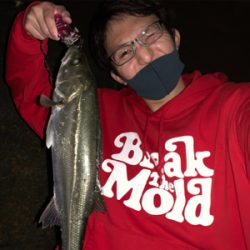 荒川　上流域　シーバス