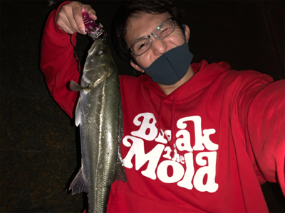 荒川　上流域　シーバス