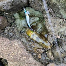 ピンクリボン軍