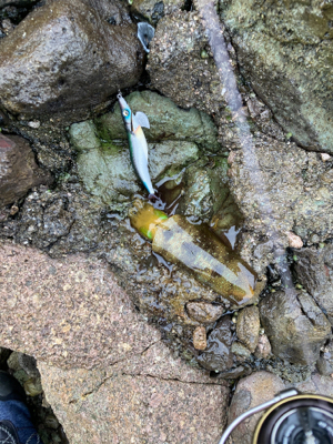 ピンクリボン軍