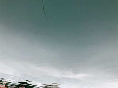 白身で美味しいアイゴ