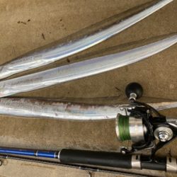 朝マズメのタチウオ釣果!!表層に集中するバイト