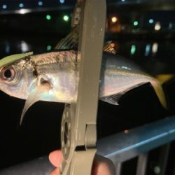 Fシステムアジング