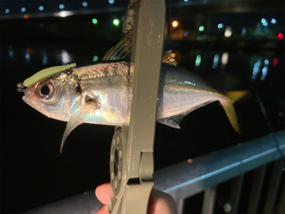 Fシステムアジング