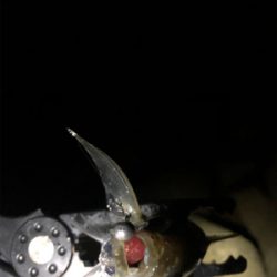 ちょっとだけ。