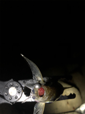 ちょっとだけ。