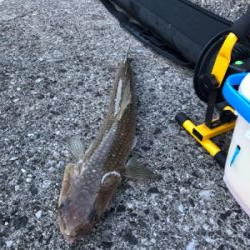 エソ祭りからの……