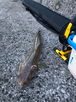 エソ祭りからの……