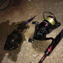 坊勢島のナイトアジング&エギング