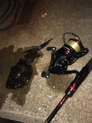 坊勢島のナイトアジング&エギング