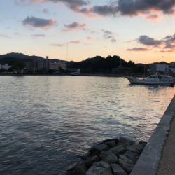 アジを求めて⑰