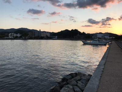 アジを求めて⑰