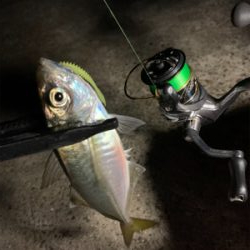 いつもよりは好釣果