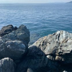 沼島の磯でエギング