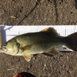 久々の布目ダム