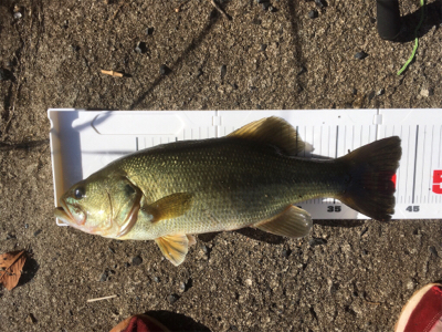 久々の布目ダム