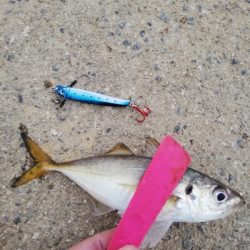 久しぶりの釣行