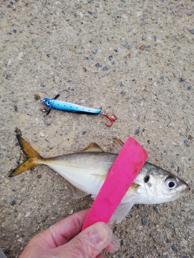 久しぶりの釣行