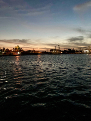 今年のアジング納め