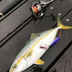 ☆雨にも負けず