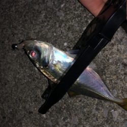 激ムズアジング