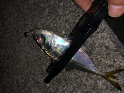 激ムズアジング