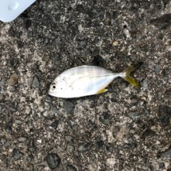 風が強くてつらい