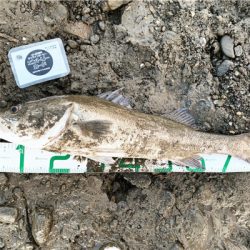 久々のランカー！