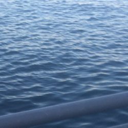 サバサバサバサバ