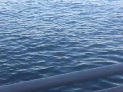 サバサバサバサバ