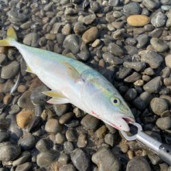 ゴールデンタイム♪