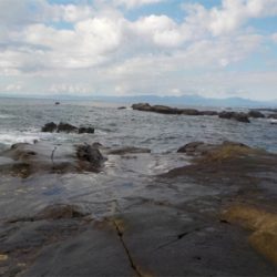 江ノ島の表磯でカサゴでした