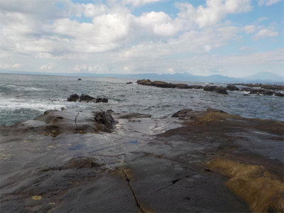 江ノ島の表磯でカサゴでした
