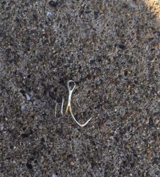 今シーズン2匹目メジロ