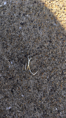 今シーズン2匹目メジロ