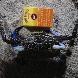 前回の雪辱。今度は餌釣りで